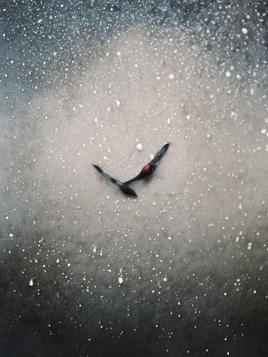 刚弄的抖音号怎么涨粉_抖音新手涨粉技巧插图