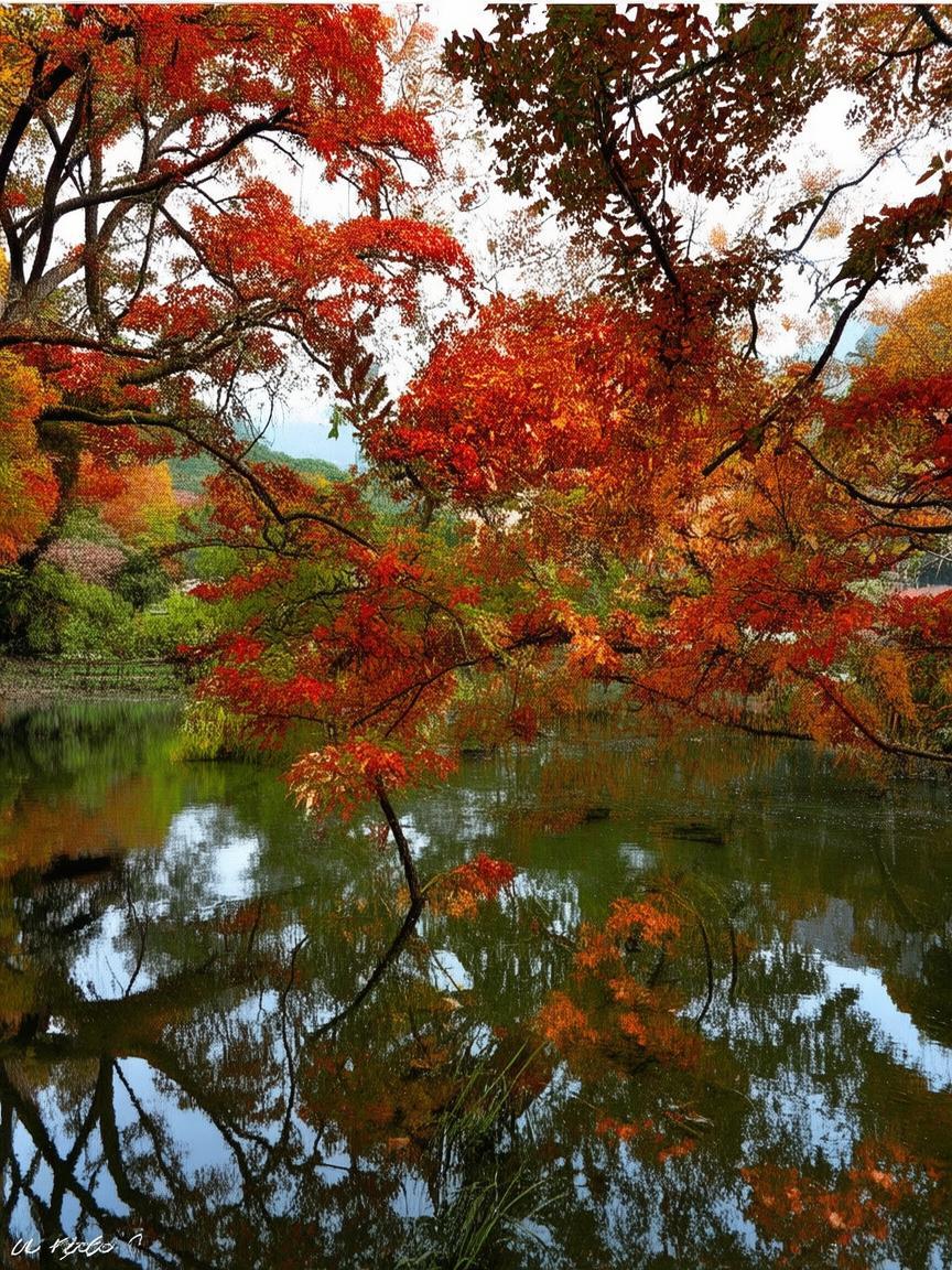 抖音文玩哪家粉丝最多_抖音文玩粉丝排行？插图